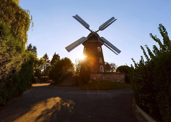 Apartment Rose In Seele Baumeln Lassen