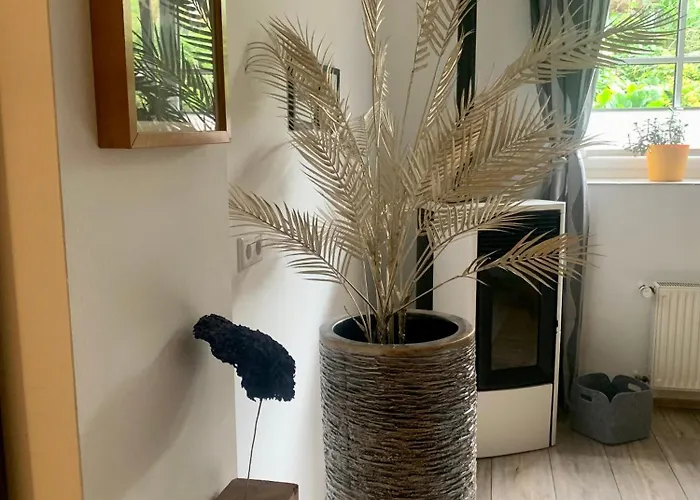 Rose In Seele Baumeln Lassen Rees